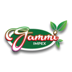 Gammi Impex
